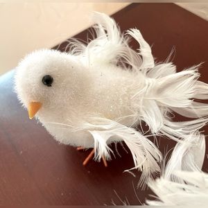 Decorative chicks 🐥